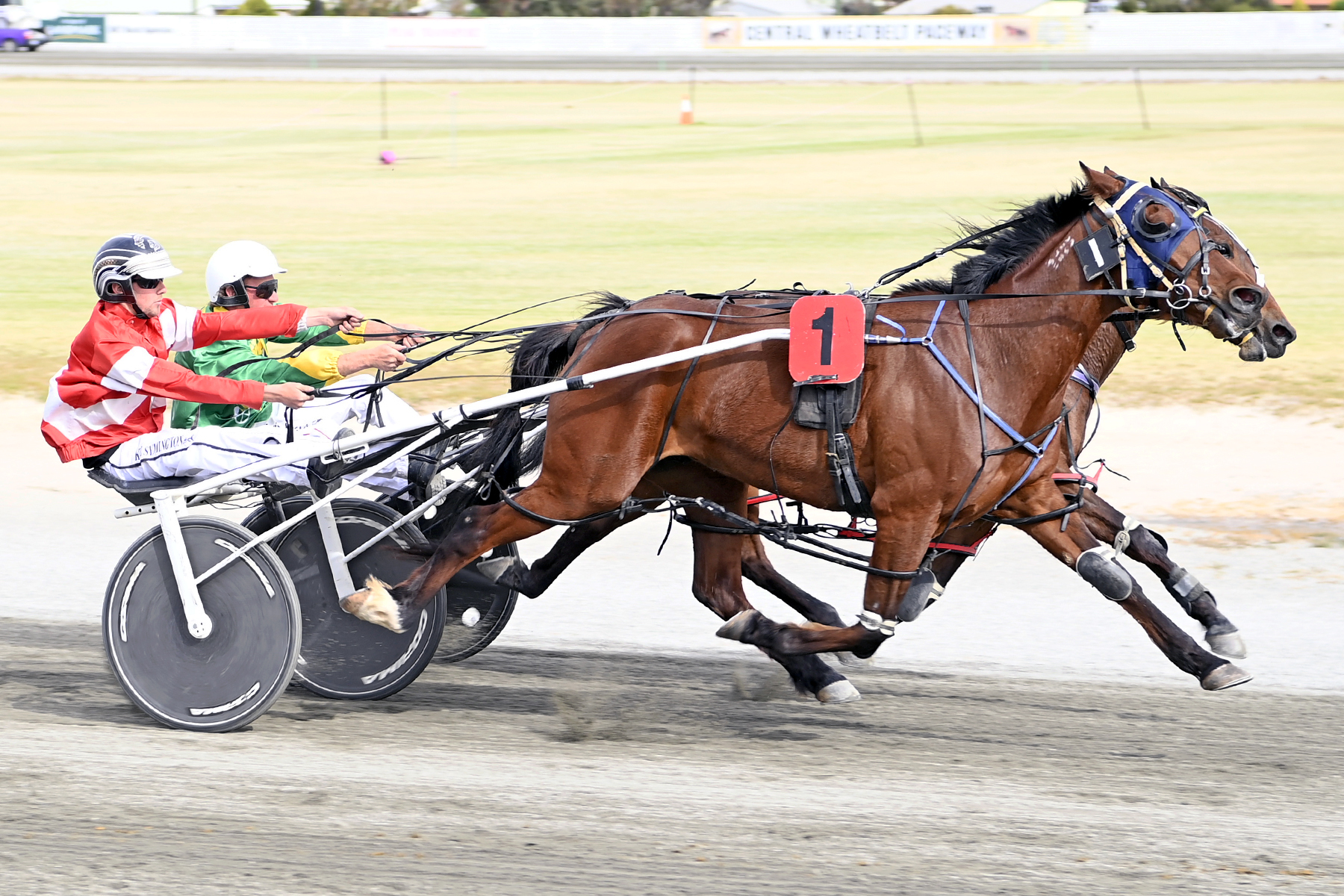 Central Wheatbelt Harness Racing Club