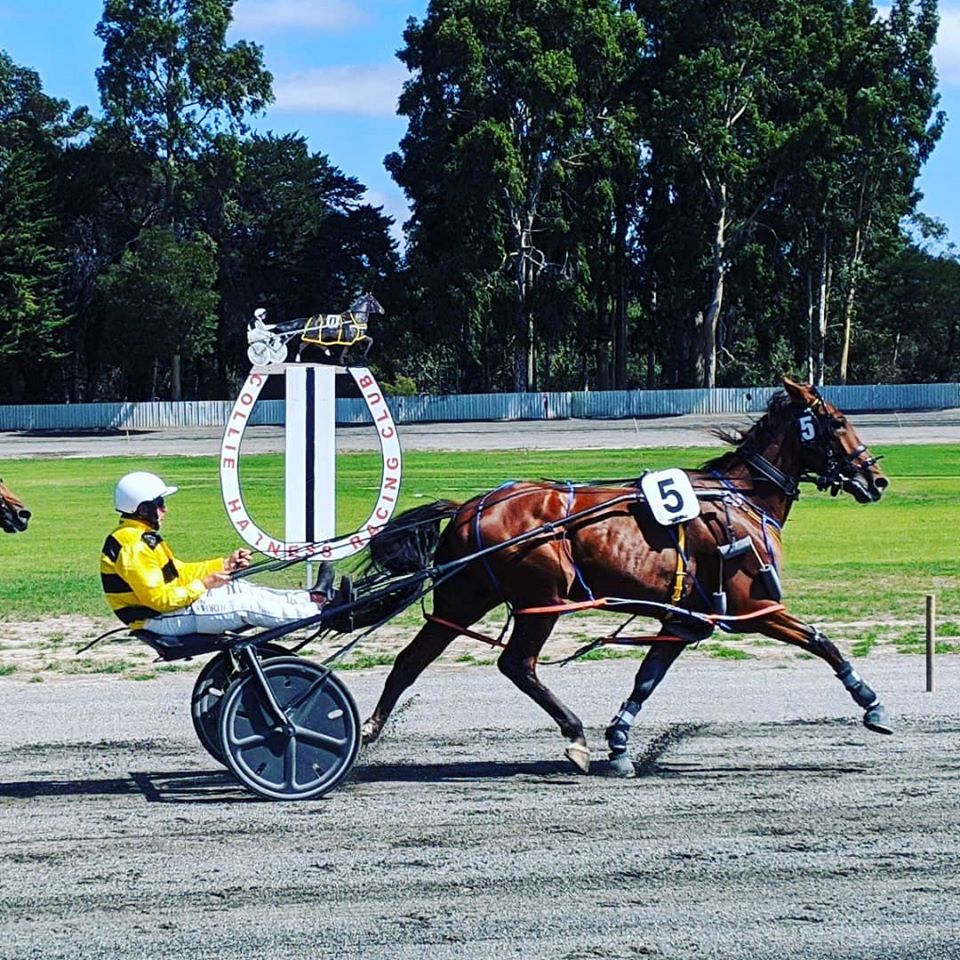 Wa Harness Racing Harness racing fostering community connection in Collie