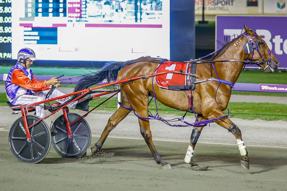 Reed Pins Hopes On Caveman