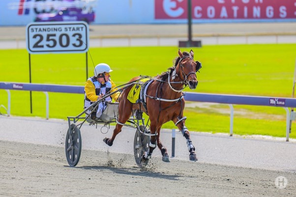 Time Tofly Racing Wonderful Filly Ready For Take Off
