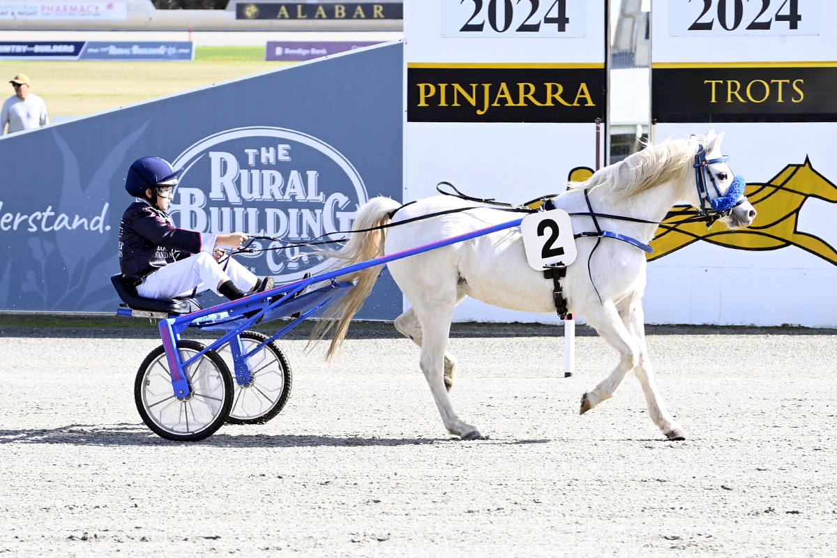 Pinjarra Trots Welcome Back The Pony Trots After Long Hiatus