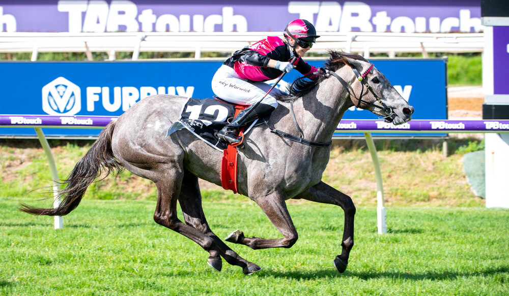 Admiration Express chases second Kalgoorlie feature