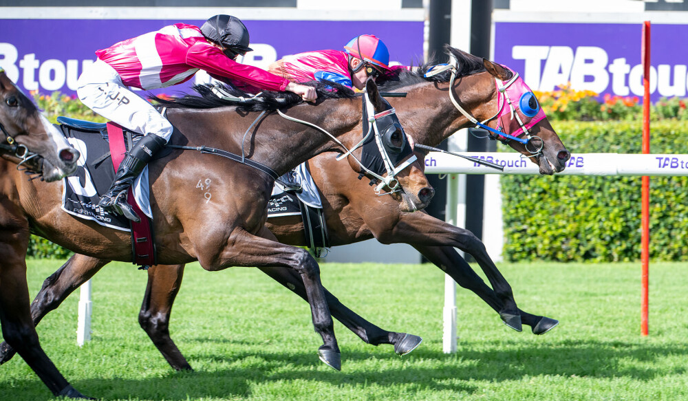 Performance Patron They couldn't get past Playhouse Patron in Towton Cup