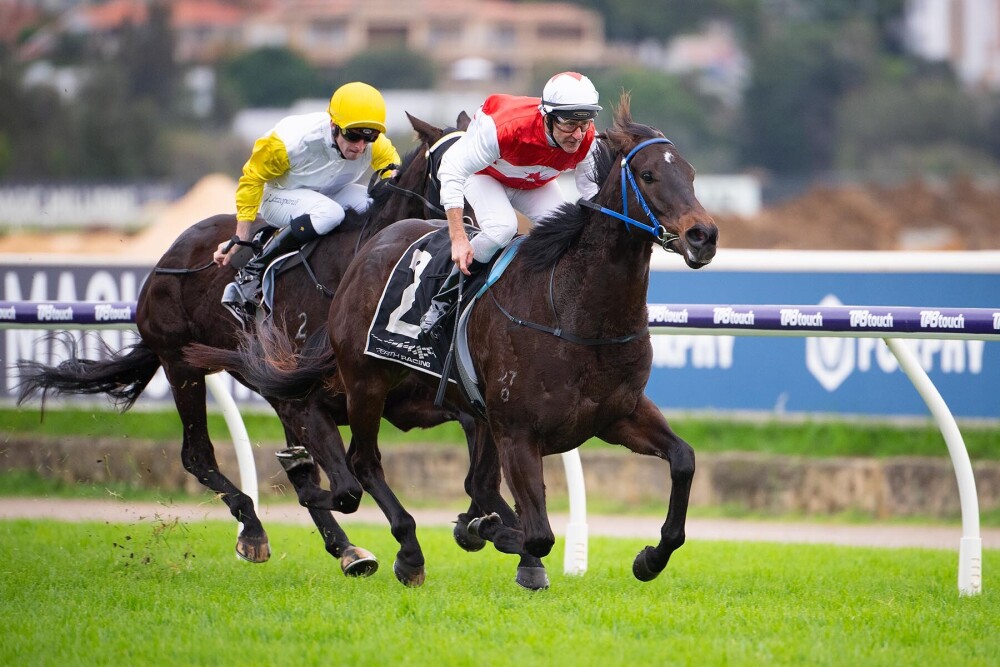 Wolfe holds carnival hopes for returning Rope Them In