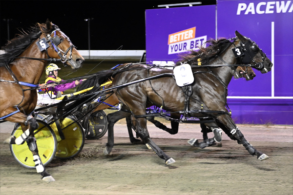 Tracey Reeds Fateful Journey Into Harness Racing