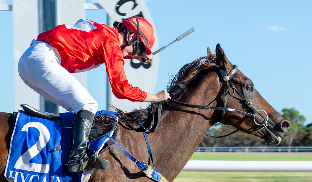 1946 Ad Philip Morris Cigarettes Smoking Tobacco Medical Quackery Bellboy Ylk1 230247 Ylk1 052