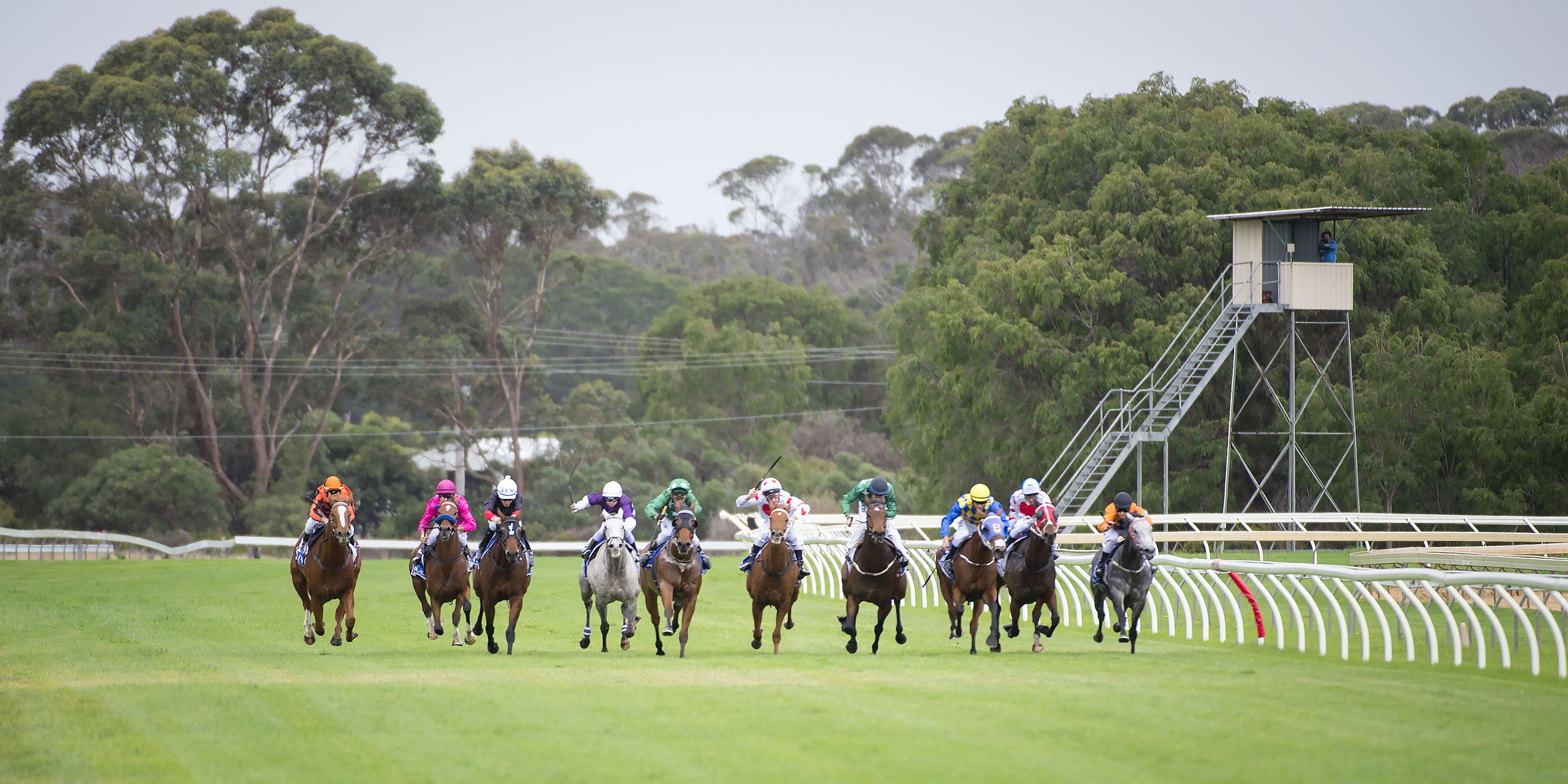 Smith has high Albany Cup hopes for Deadly And Fast galloper
