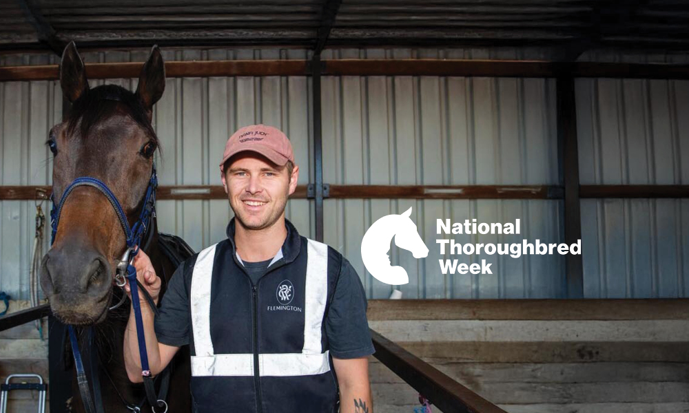 Open Morning Stable Tour - Mitchell Racing Stables